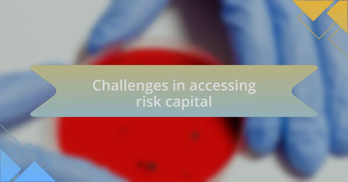 Challenges in accessing risk capital