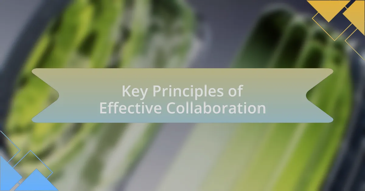 Key Principles of Effective Collaboration