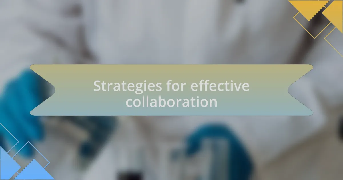 Strategies for effective collaboration
